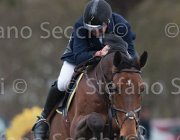 Le Jeune Vikali TosTour 2013- S4 6801 : Arezzo Equestrian Centre, Le Jeune Philippe, Toscana Tour 2013, Vikali de L'Eribus, foto di Stefano Secchi ©
